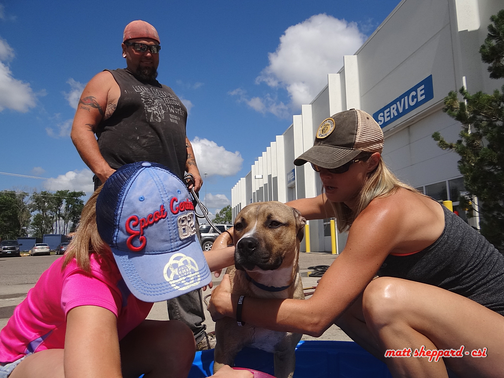 Prairie Paws Dog Wash - More Pixs by Matt at Facebook. Like & Share